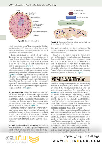Guyton and Hall Textbook of Medical Physiology (Guyton Physiology) 14th Edicion