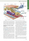 Guyton and Hall Textbook of Medical Physiology (Guyton Physiology) 14th Edicion