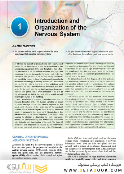 Snell's Clinical Neuroanatomy 8th Edicion