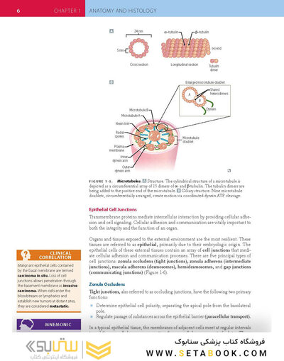 First Aid for the Basic Sciences, (VALUE PACK) 3rd Edition2017