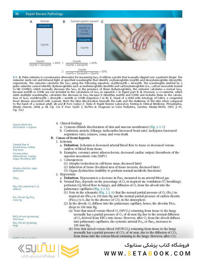 Rapid Review Pathology 5th Edición