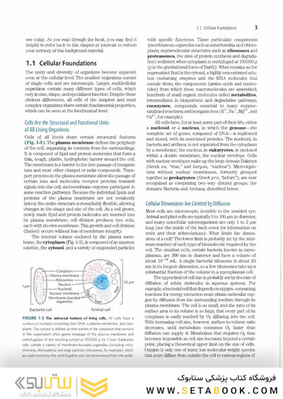 2017 Lehninger Principles of Biochemistry