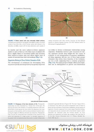 2017 Lehninger Principles of Biochemistry