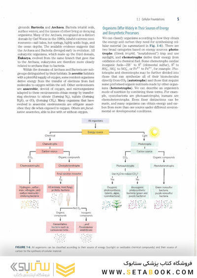 2017 Lehninger Principles of Biochemistry