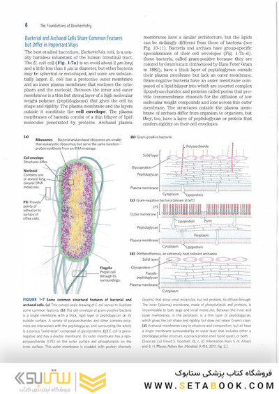 2017 Lehninger Principles of Biochemistry