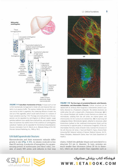 2017 Lehninger Principles of Biochemistry