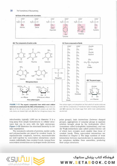 2017 Lehninger Principles of Biochemistry