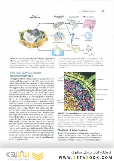 2017 Lehninger Principles of Biochemistry