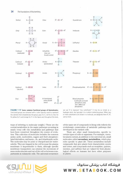 2017 Lehninger Principles of Biochemistry