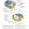 2017 Lehninger Principles of Biochemistry