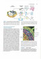 2017 Lehninger Principles of Biochemistry