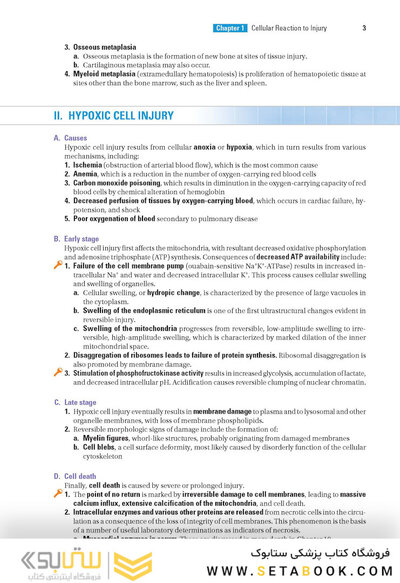 BRS Pathology 6th Edicion 2021