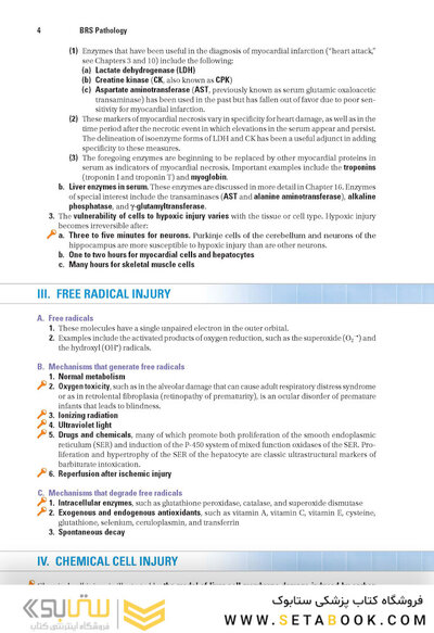 BRS Pathology 6th Edicion 2021