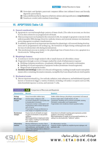 BRS Pathology 6th Edicion 2021