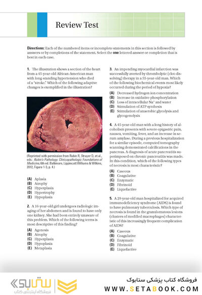 BRS Pathology 6th Edicion 2021
