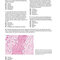 BRS Pathology 6th Edicion 2021