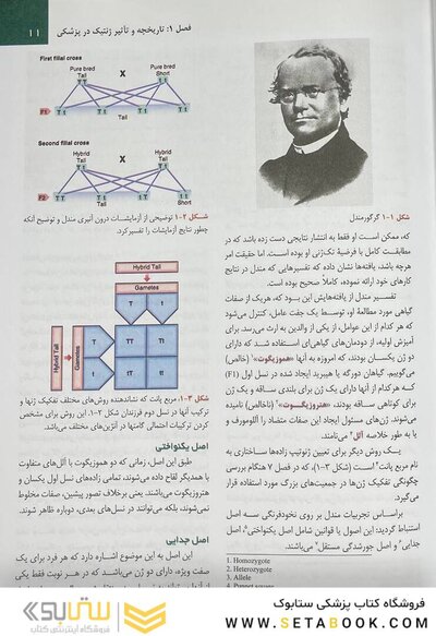اصول ژنتیک پزشکی امری 2022
