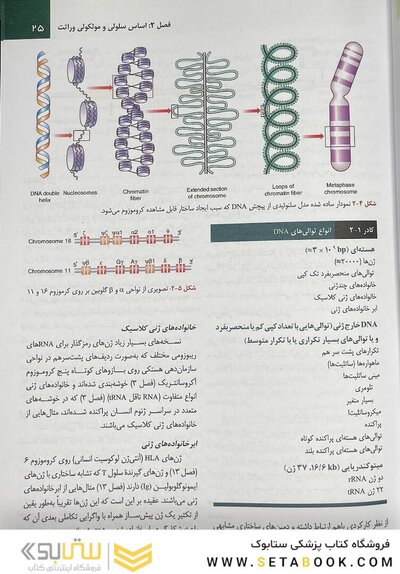 اصول ژنتیک پزشکی امری 2022