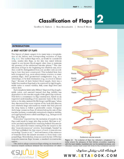 Flaps and Reconstructive Surgery 2nd Edition
