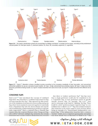 Flaps and Reconstructive Surgery 2nd Edition