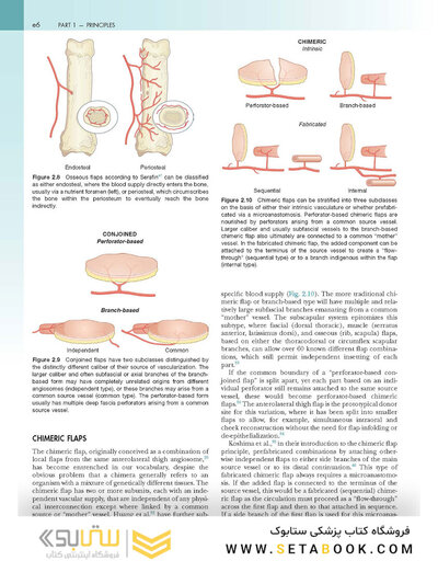 Flaps and Reconstructive Surgery 2nd Edition