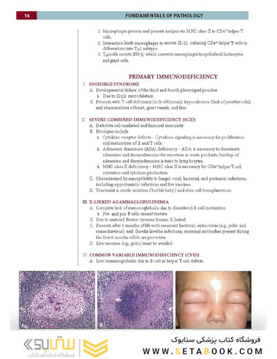 Fundamentals of Pathology 2021