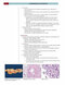 Fundamentals of Pathology 2021
