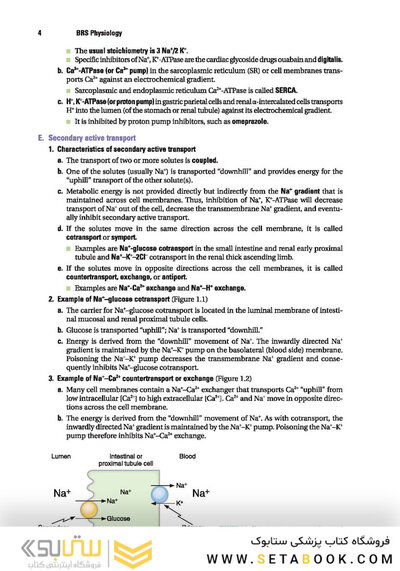 BRS Physiology (Board Review Series)
