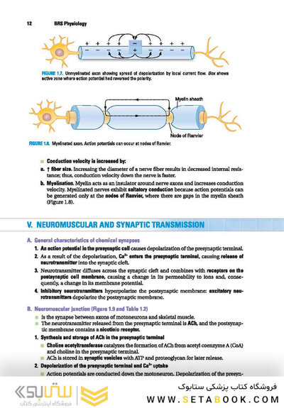 BRS Physiology (Board Review Series)