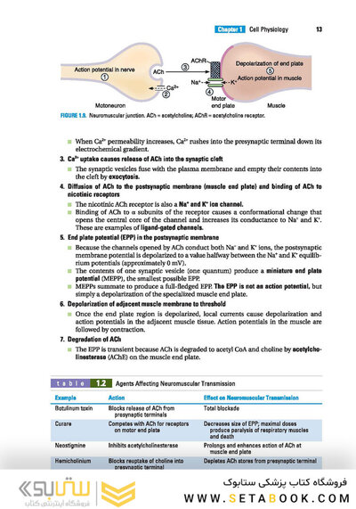 BRS Physiology (Board Review Series)