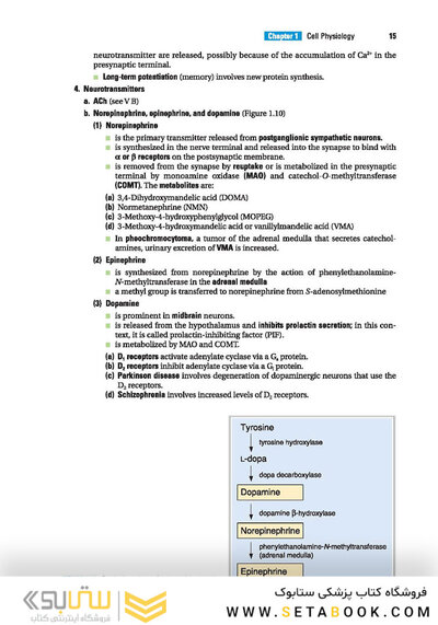 BRS Physiology (Board Review Series)