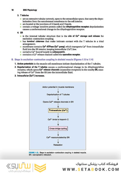 BRS Physiology (Board Review Series)