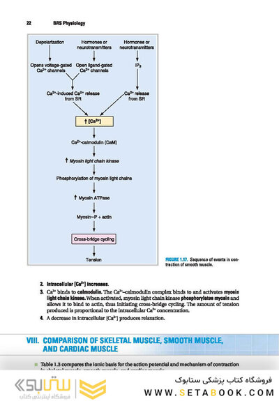 BRS Physiology (Board Review Series)