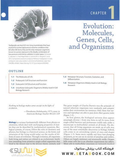 Molecular Cell Biology Ninth Edition 2021