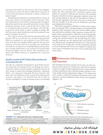 Molecular Cell Biology Ninth Edition 2021