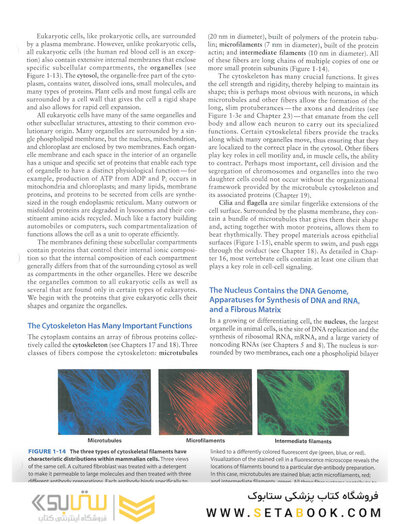 Molecular Cell Biology Ninth Edition 2021