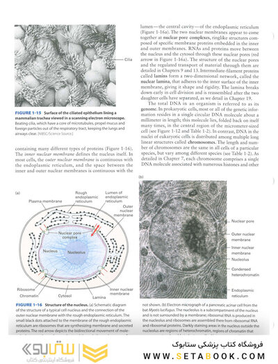 Molecular Cell Biology Ninth Edition 2021