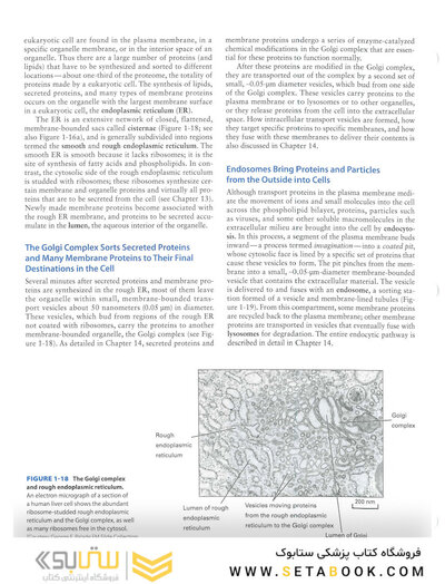 Molecular Cell Biology Ninth Edition 2021
