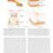 Molecular Cell Biology Ninth Edition 2021