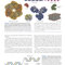 Molecular Cell Biology Ninth Edition 2021