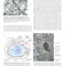 Molecular Cell Biology Ninth Edition 2021