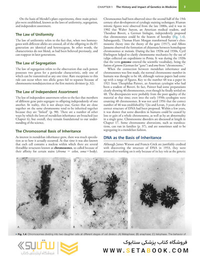 Emery'S Elements of Medical Genetics and Genomics