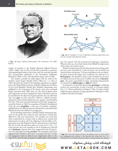 Emery'S Elements of Medical Genetics and Genomics