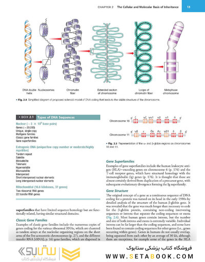 Emery'S Elements of Medical Genetics and Genomics