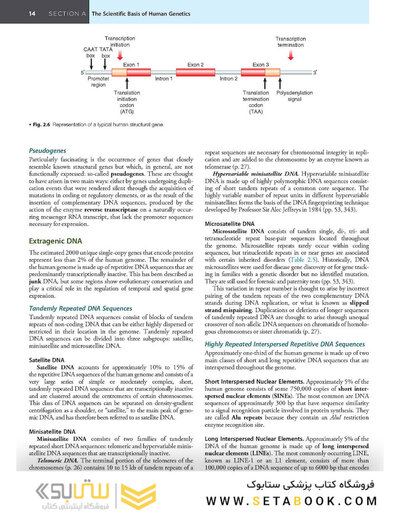Emery'S Elements of Medical Genetics and Genomics