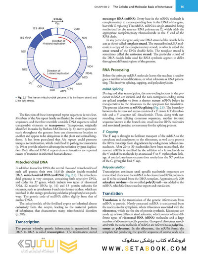 Emery'S Elements of Medical Genetics and Genomics