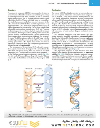 Emery'S Elements of Medical Genetics and Genomics