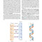 Emery'S Elements of Medical Genetics and Genomics