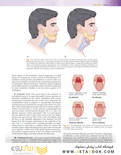 Rosen's Emergency Medicine: Concepts and Clinical Practice