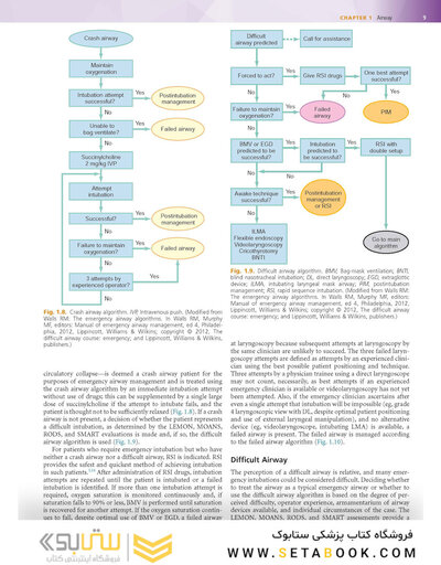 Rosen's Emergency Medicine: Concepts and Clinical Practice